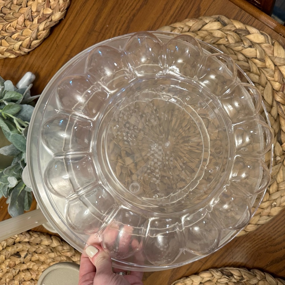 Plastic deviled egg container with lid